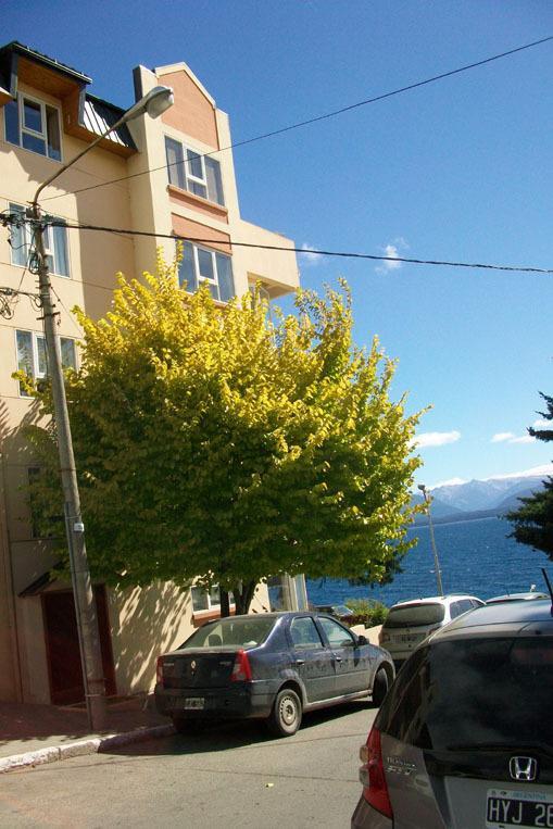 Departamento Costanera Apartamento San Carlos de Bariloche Exterior foto